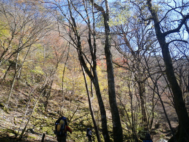 d0006512_17233888.jpg
