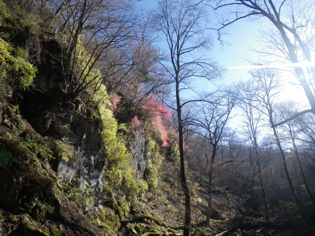 d0006512_17271773.jpg