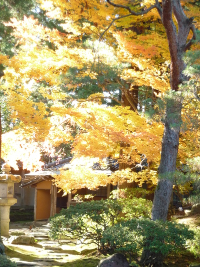 e0135219_1024728.jpg