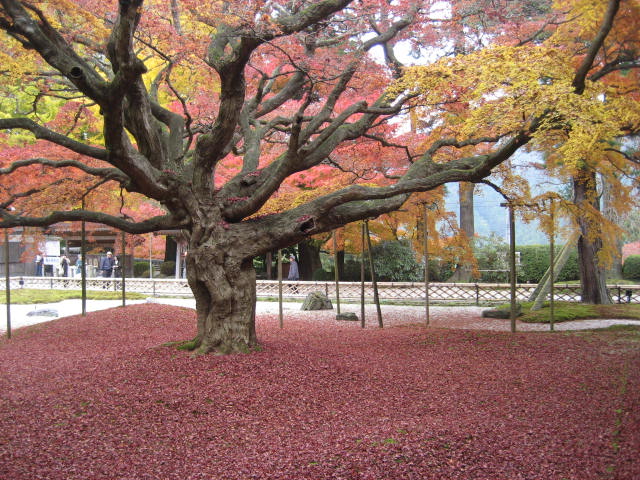 f0139520_2131936.jpg