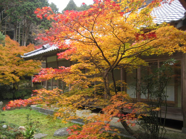 f0139520_2132752.jpg