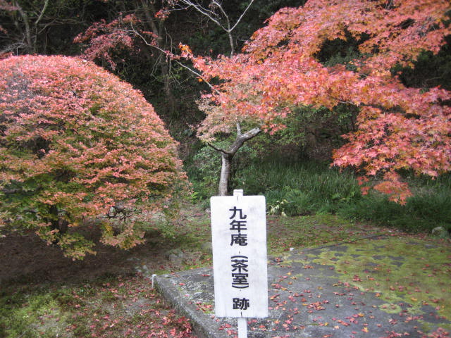f0139520_22552865.jpg