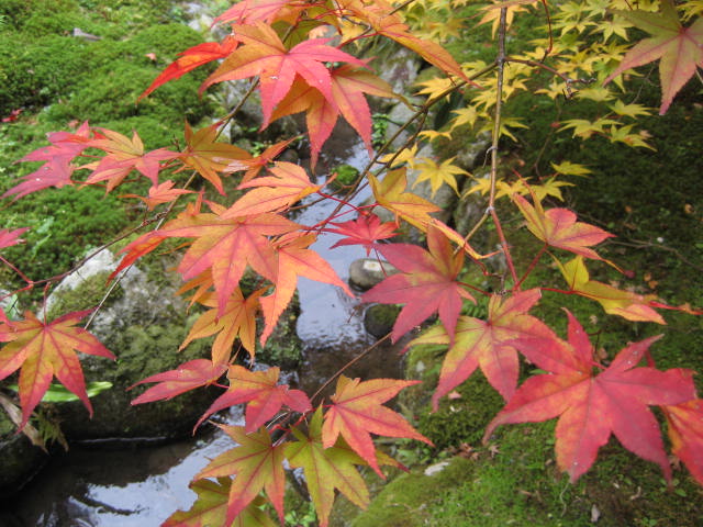 f0139520_2310176.jpg