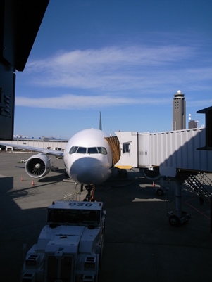 d0098022_12454844.jpg
