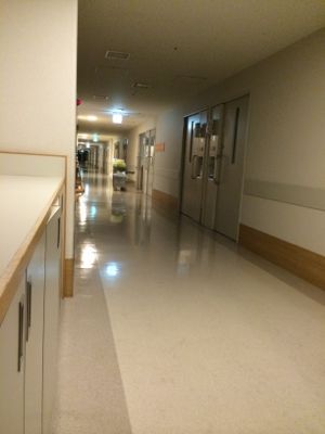 c0201427_22553937.jpg