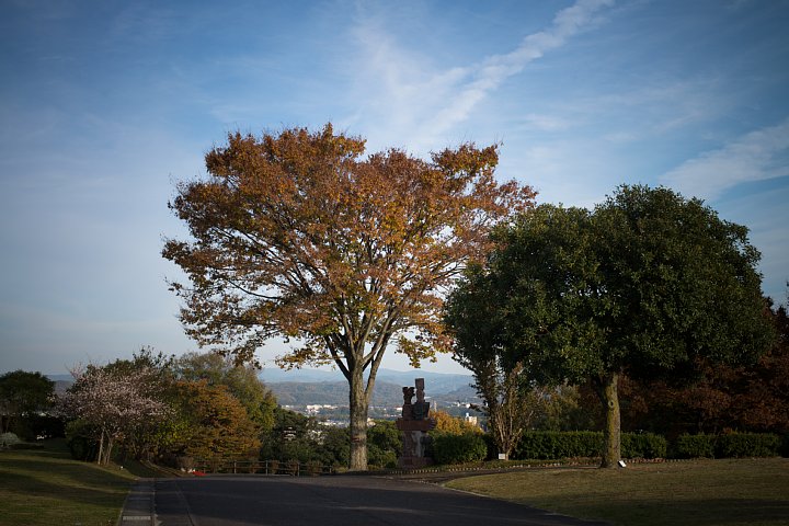 b0134829_2044496.jpg