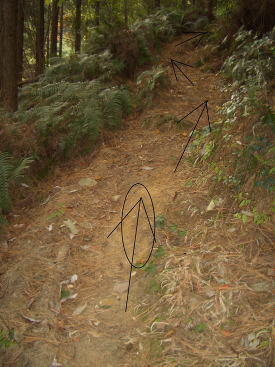 b0222530_141924100.jpg