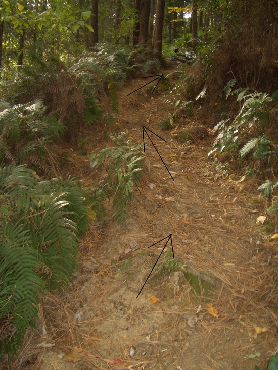 b0222530_14193562.jpg