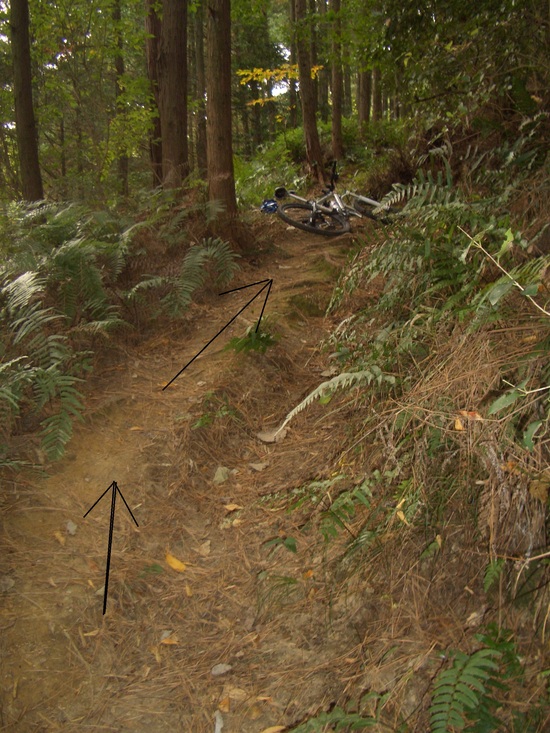 b0222530_1422558.jpg