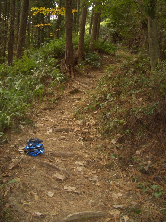 b0222530_14231670.jpg