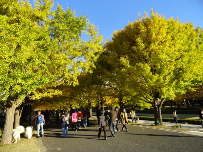 f0238932_15485144.jpg