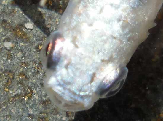 e0097534_13274694.jpg