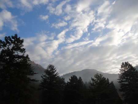 a0099446_14565323.jpg