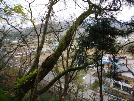 a0099446_1502423.jpg
