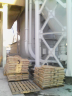 f0091057_995678.jpg