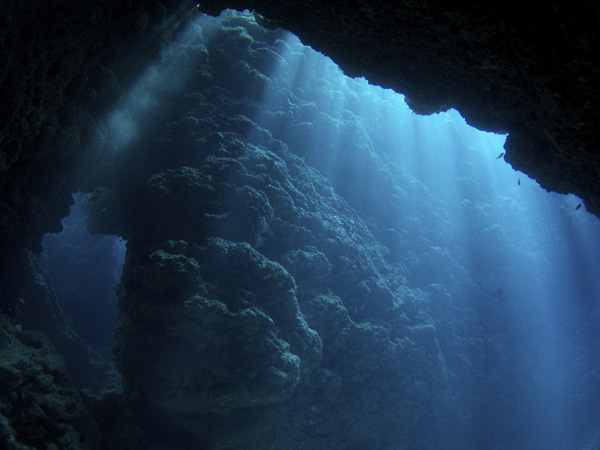 b0062363_8171083.jpg