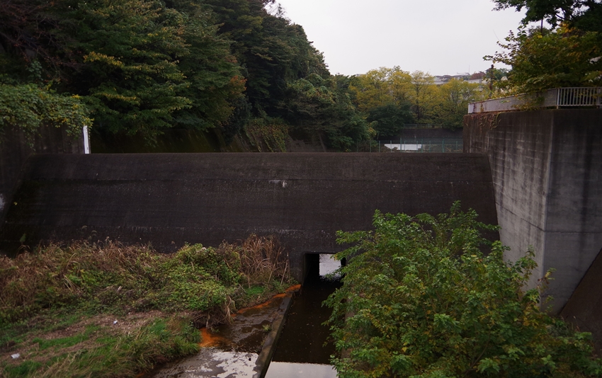 d0031171_8522963.jpg
