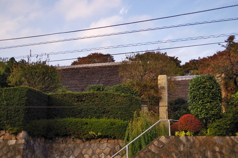 d0031171_974368.jpg