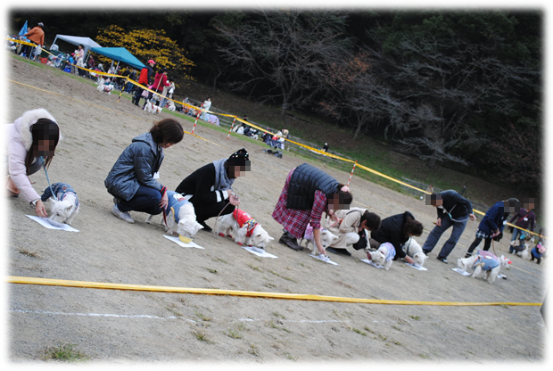 b0242873_23553404.png