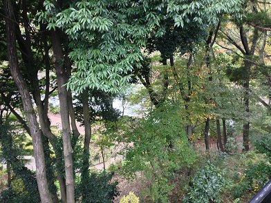 c0014187_036299.jpg