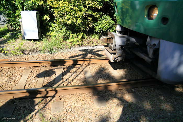 f0185802_1763433.jpg