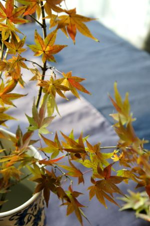c0148705_2254083.jpg