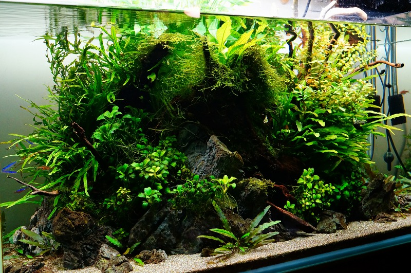 c0119618_10394840.jpg