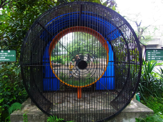 a0087341_045580.jpg