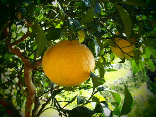 f0347942_21530009.jpg