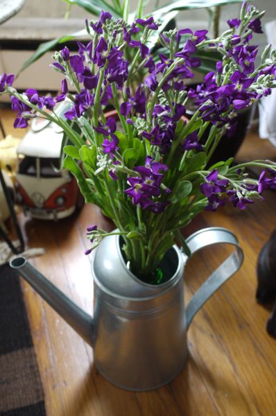 c0245349_831559.jpg