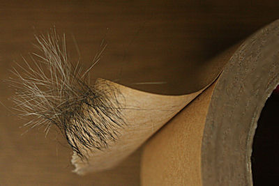 d0034352_151136.jpg