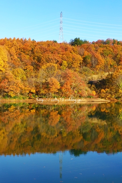 a0160657_2064519.jpg