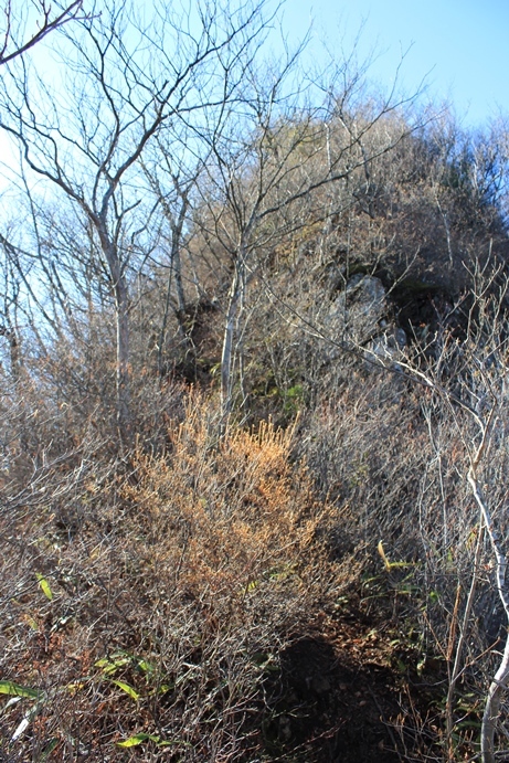 e0239458_16290964.jpg