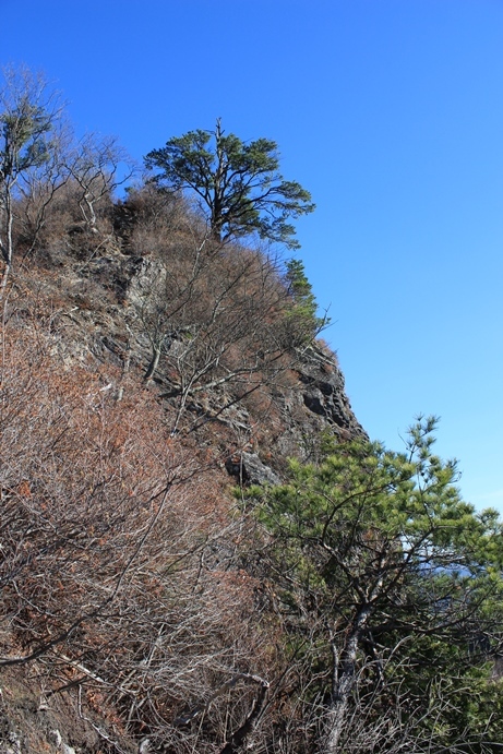 e0239458_23115155.jpg