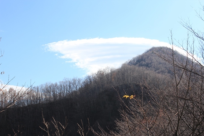 e0239458_23180298.jpg