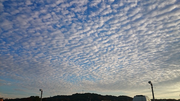 e0225164_1330333.jpg