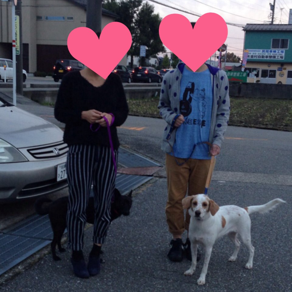 c0301772_15541831.jpg