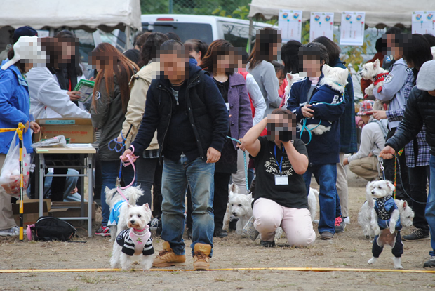 b0242873_12215911.png