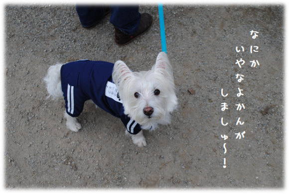 b0242873_12253307.png