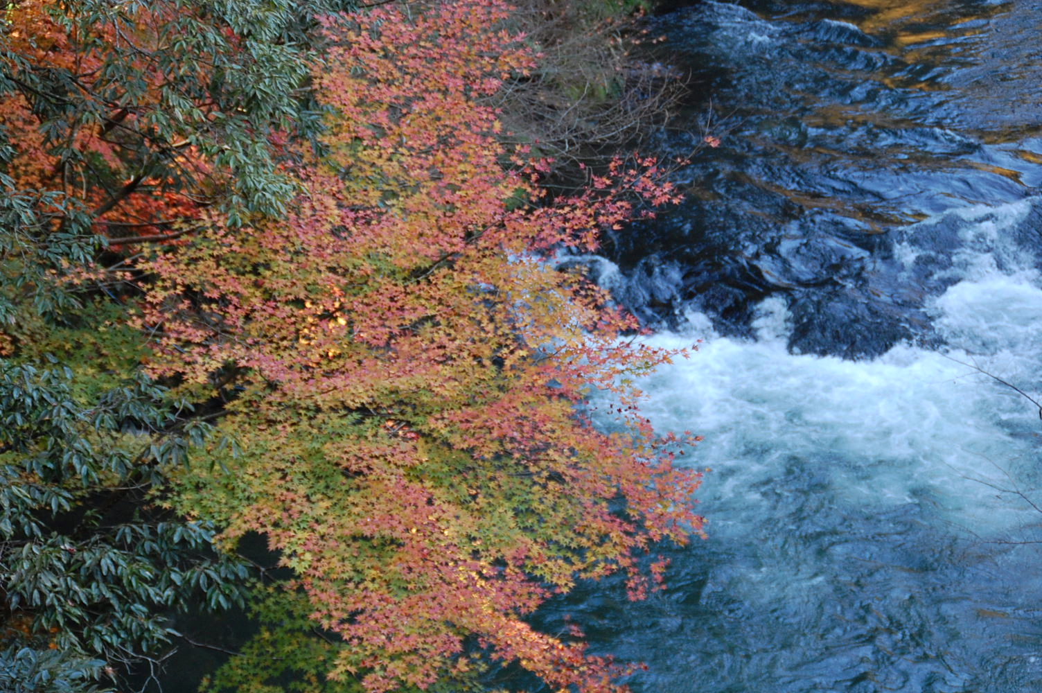 c0022275_9273172.jpg