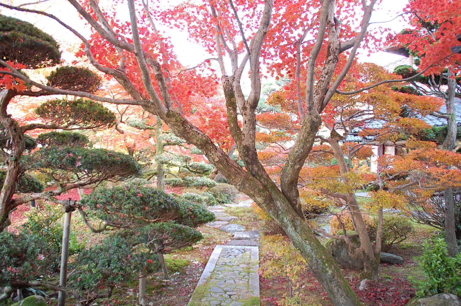 c0022275_9292535.jpg