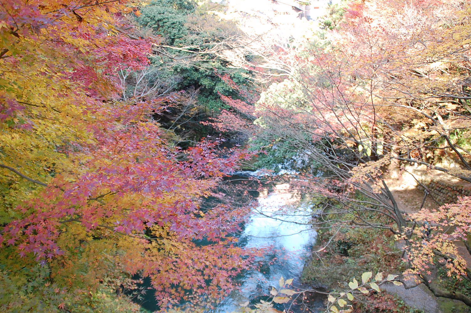 c0022275_9304410.jpg