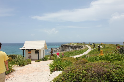 e0203477_524433.jpg