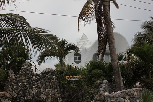 e0203477_5371775.jpg
