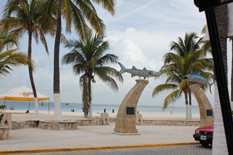 e0203477_545478.jpg