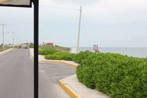 e0203477_5465050.jpg