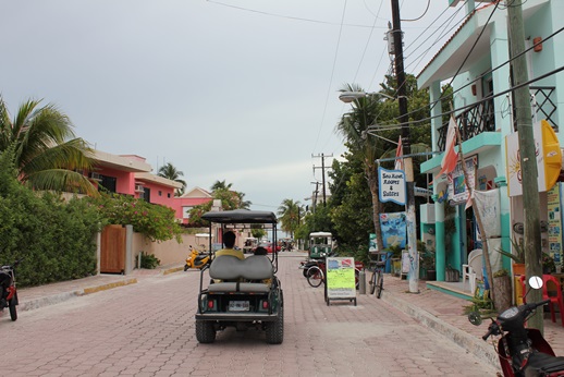 e0203477_5483100.jpg