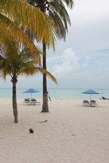 e0203477_552721.jpg