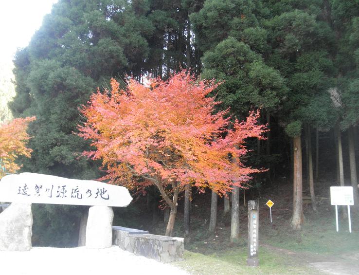 f0101679_2325432.jpg