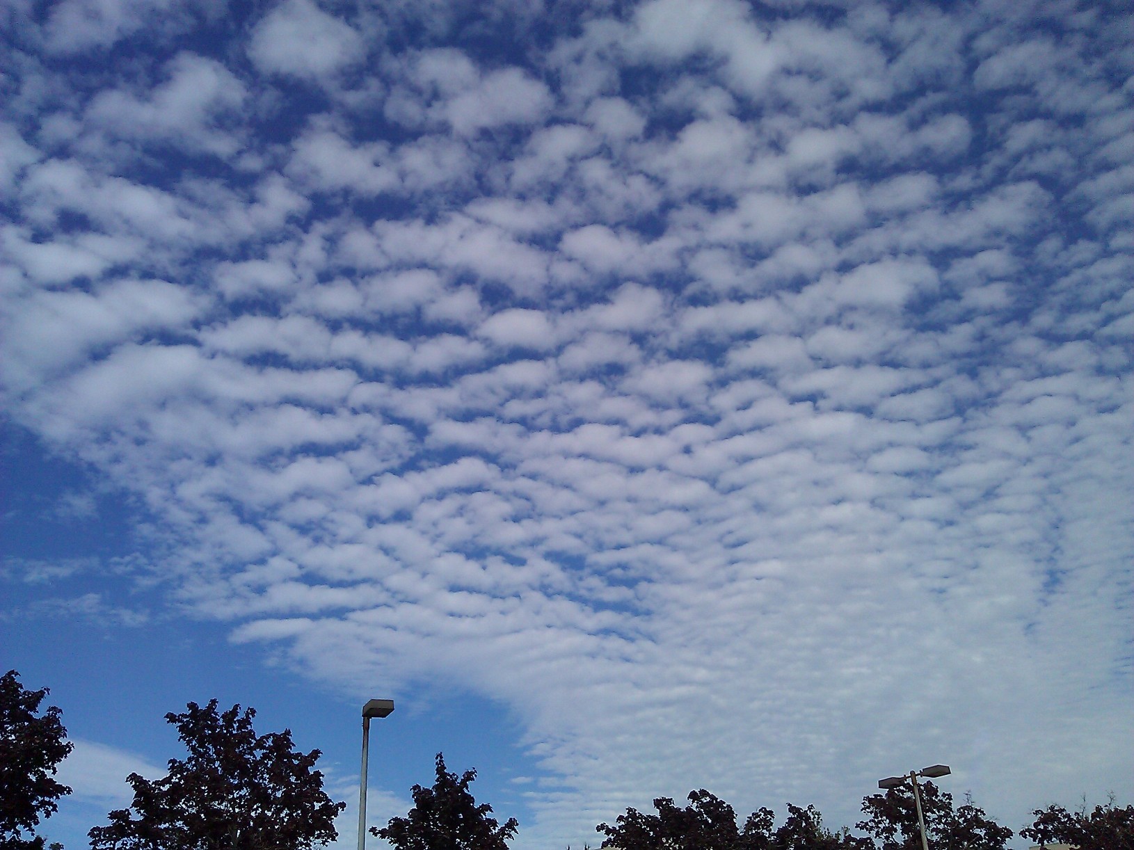 f0112080_1624076.jpg